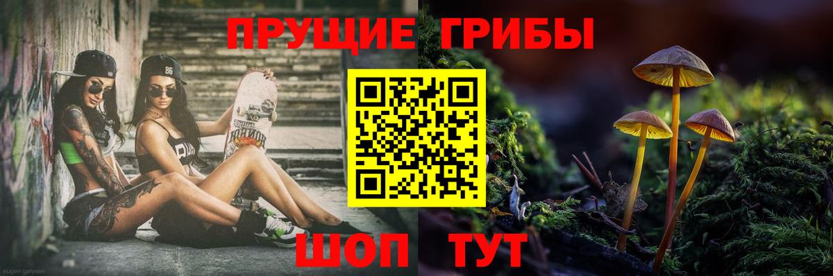 Галлюциногенные грибы прущие грибы  Вход с VPN  где купить наркоту  Котовск 